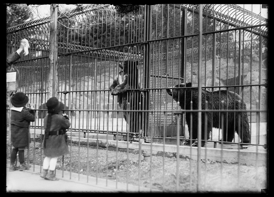 The History of Humans Looking at Animals in Zoos CityLab