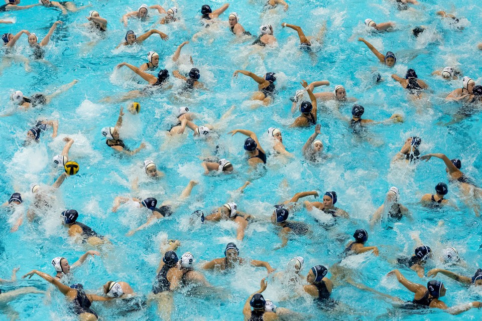 photo illustration of overcrowded water polo pool
