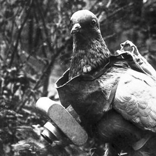 In the World Series of 1918, the Military Flyover Was Done by