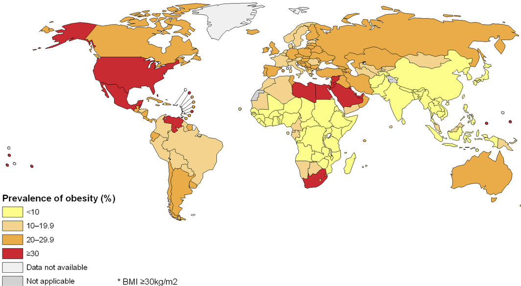 Average Bmi In The Us