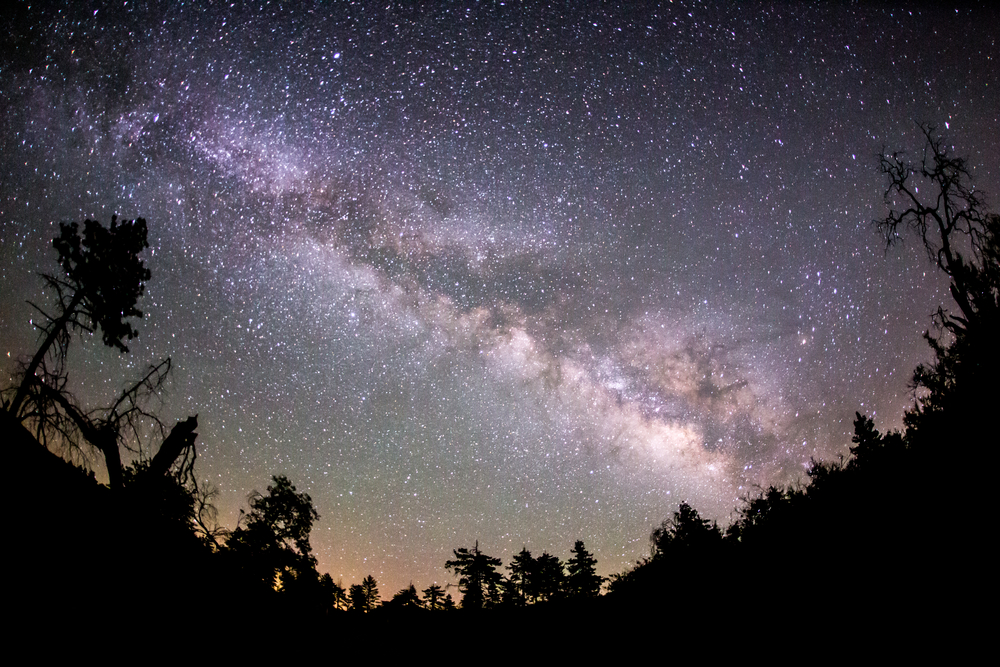 The night sky: are the stars we see really dead already?