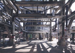 The New Science of Rural Education