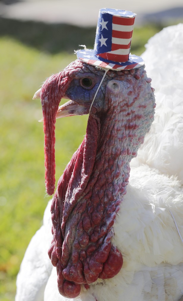 The Turkey Is The Worst Part Of Thanksgiving - The Atlantic