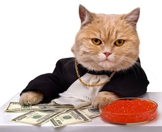 cat_caviar330.jpg