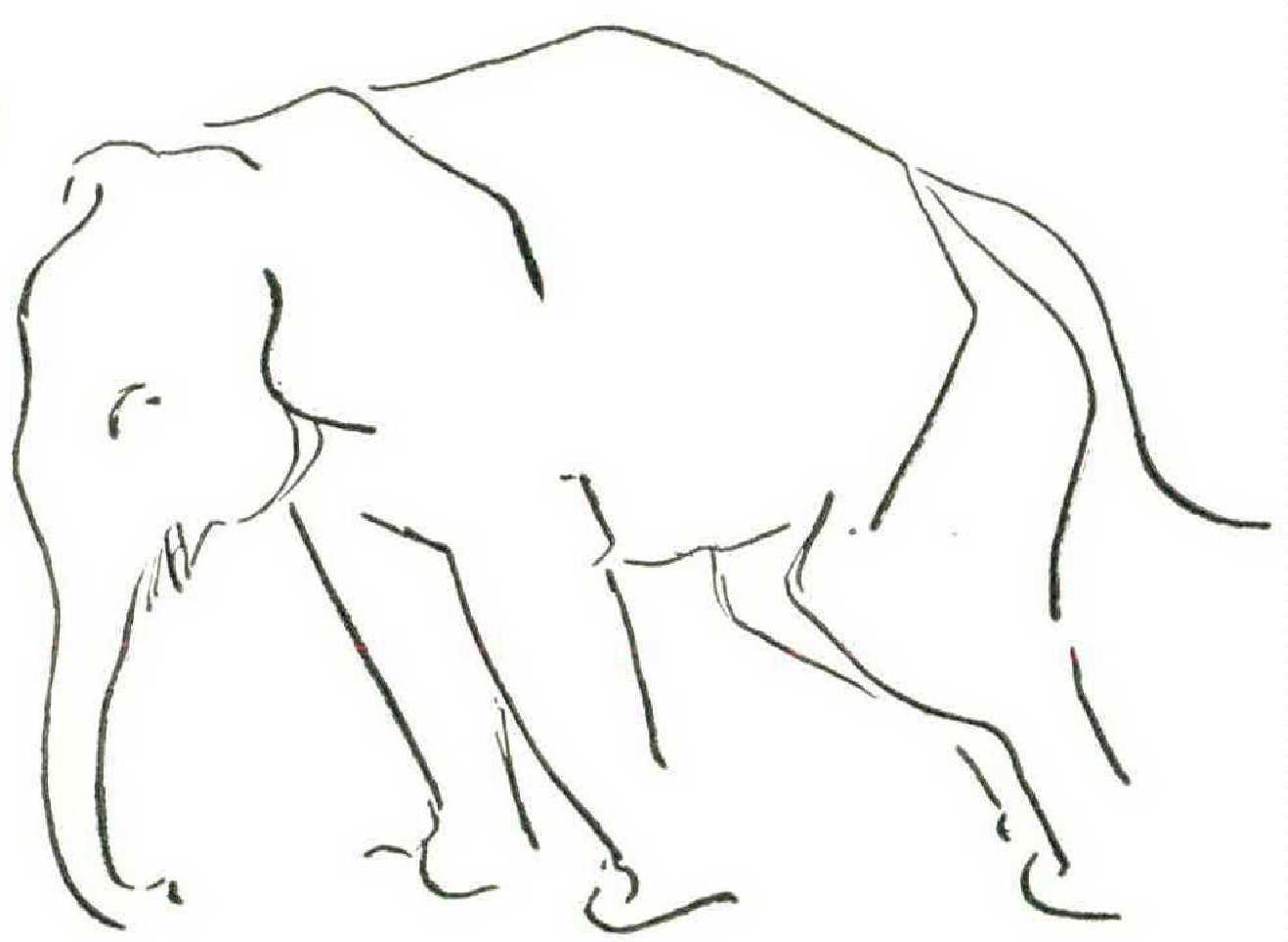 Drawing an Elephant with Pencil – Timed Drawing Exercise