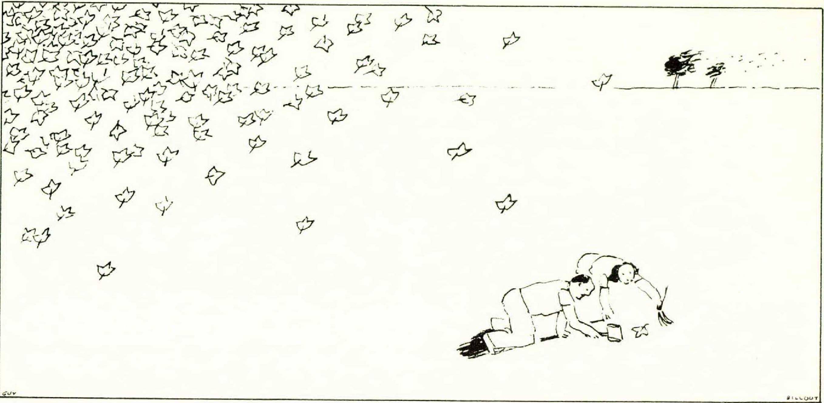 The Tidies - The Atlantic