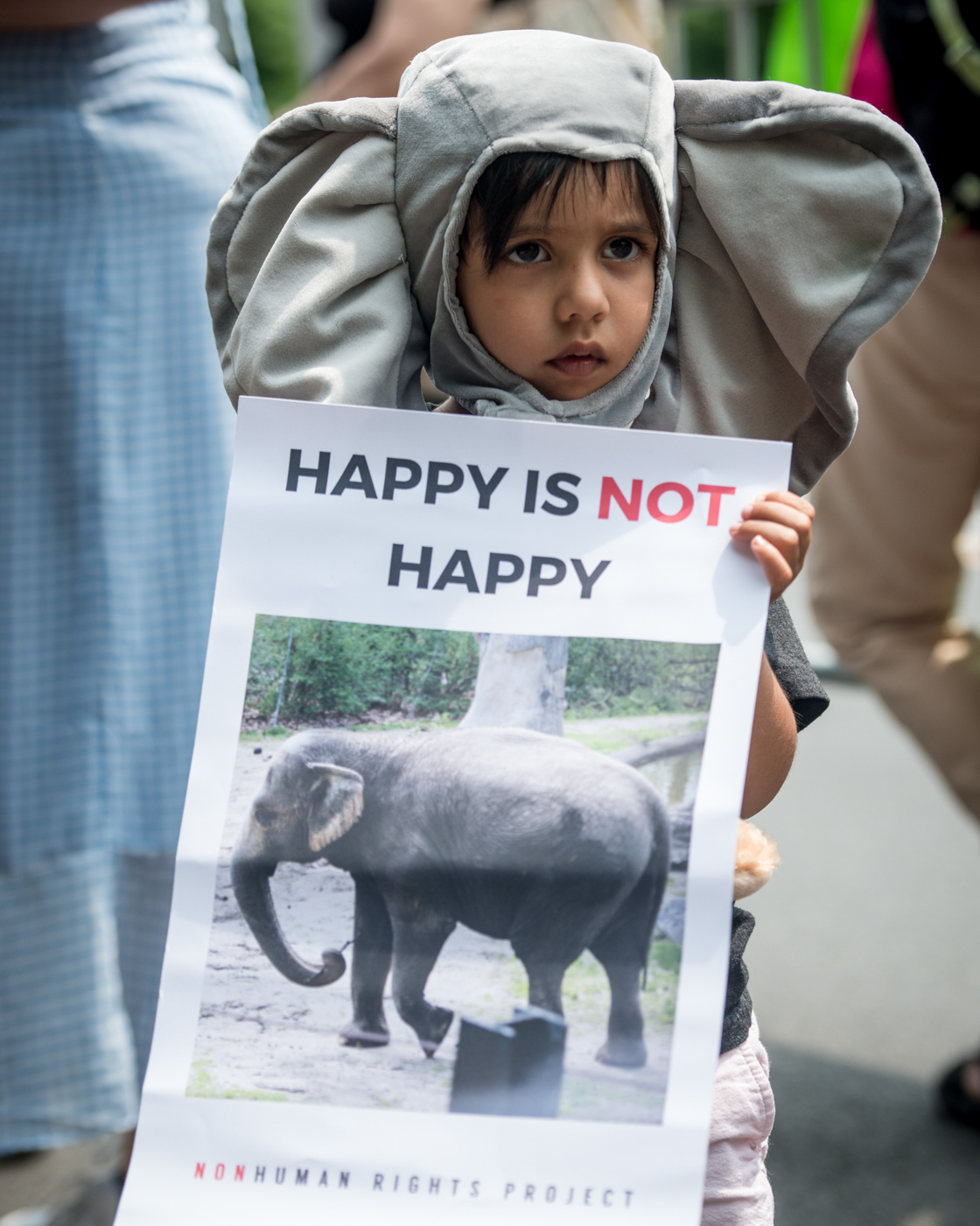 A young Happy supporter at a protest in the Bronx, 2019