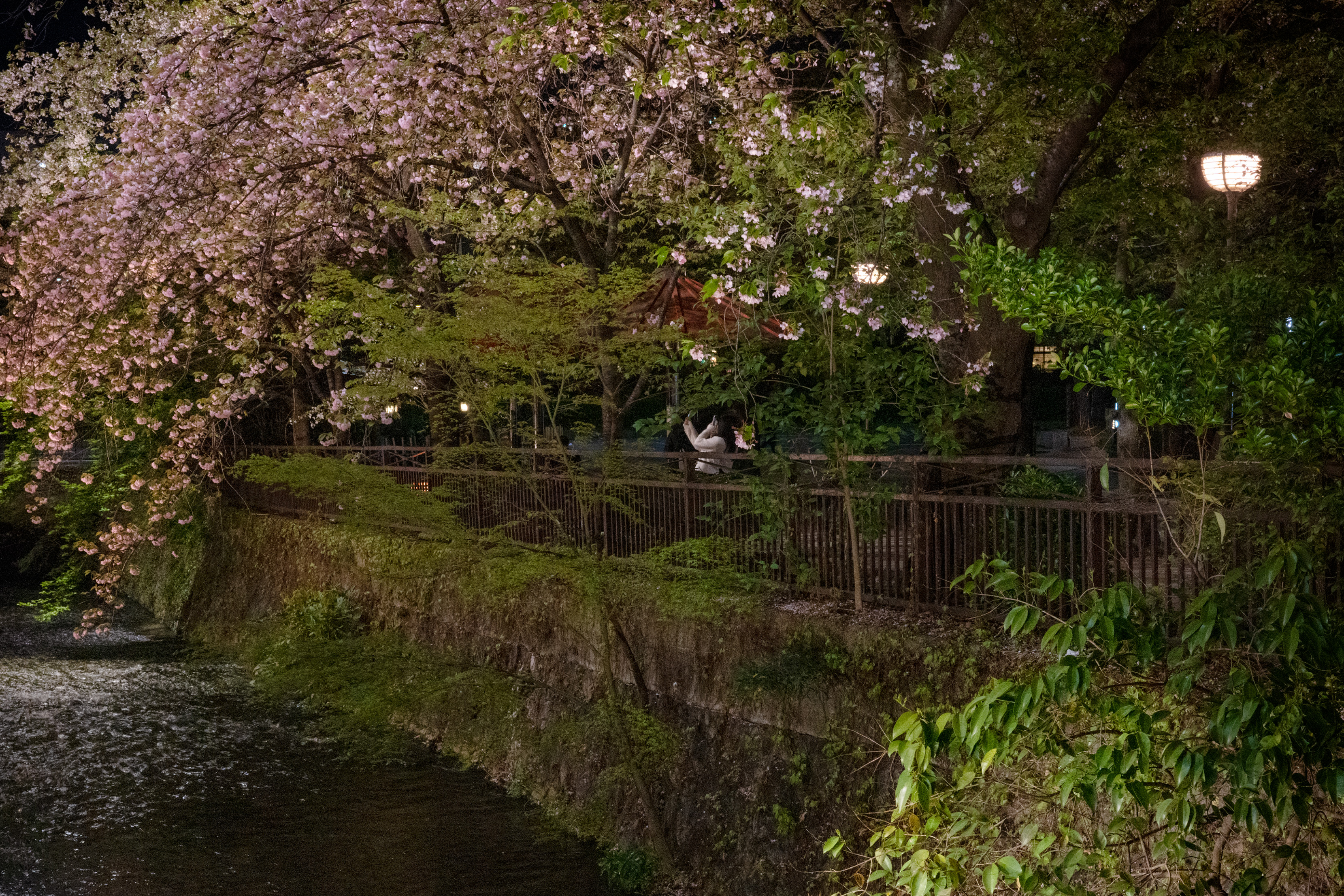 Picture of Kyoto at night