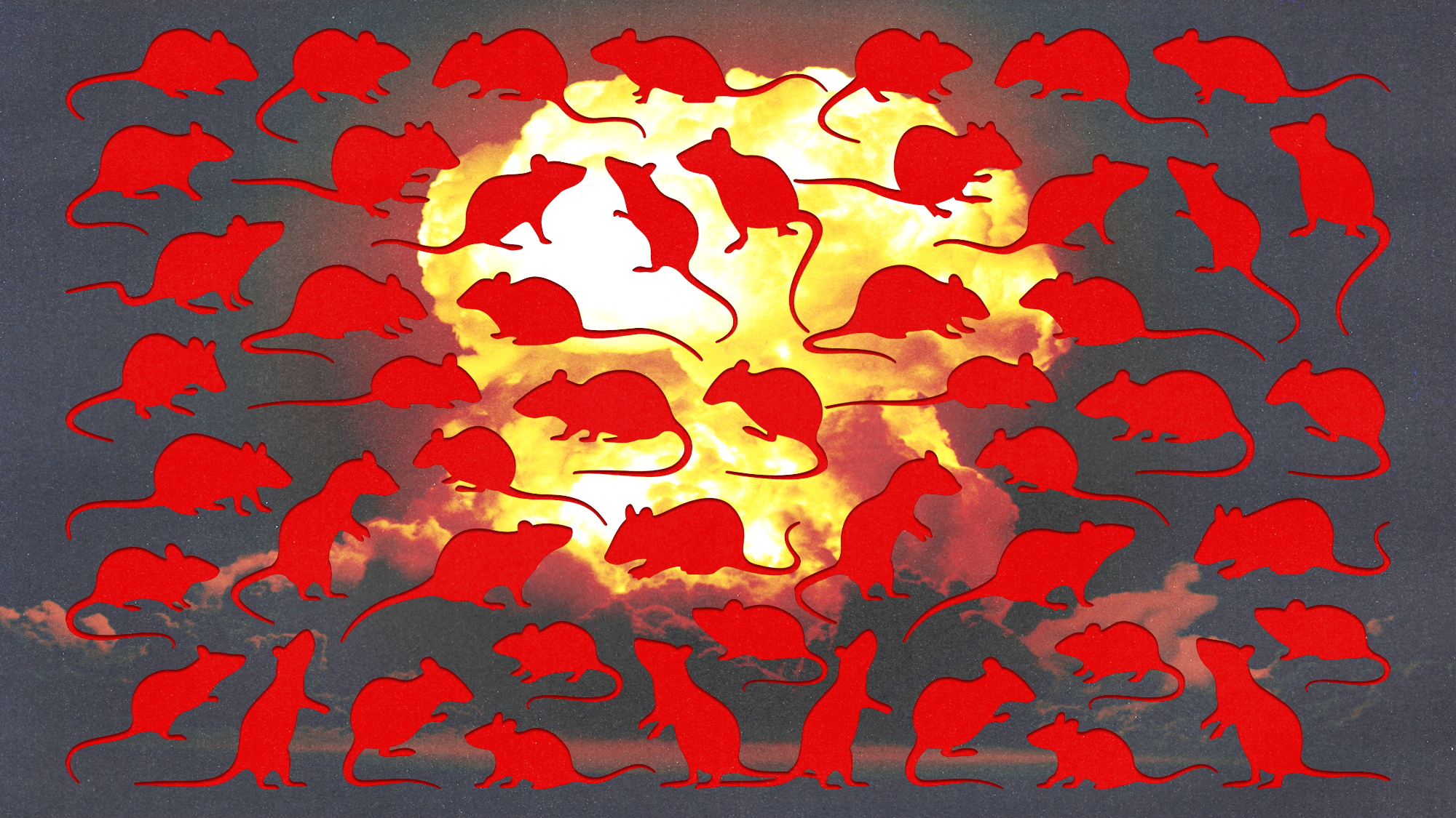 Red silhouettes of rats scattered across the image of an explosion