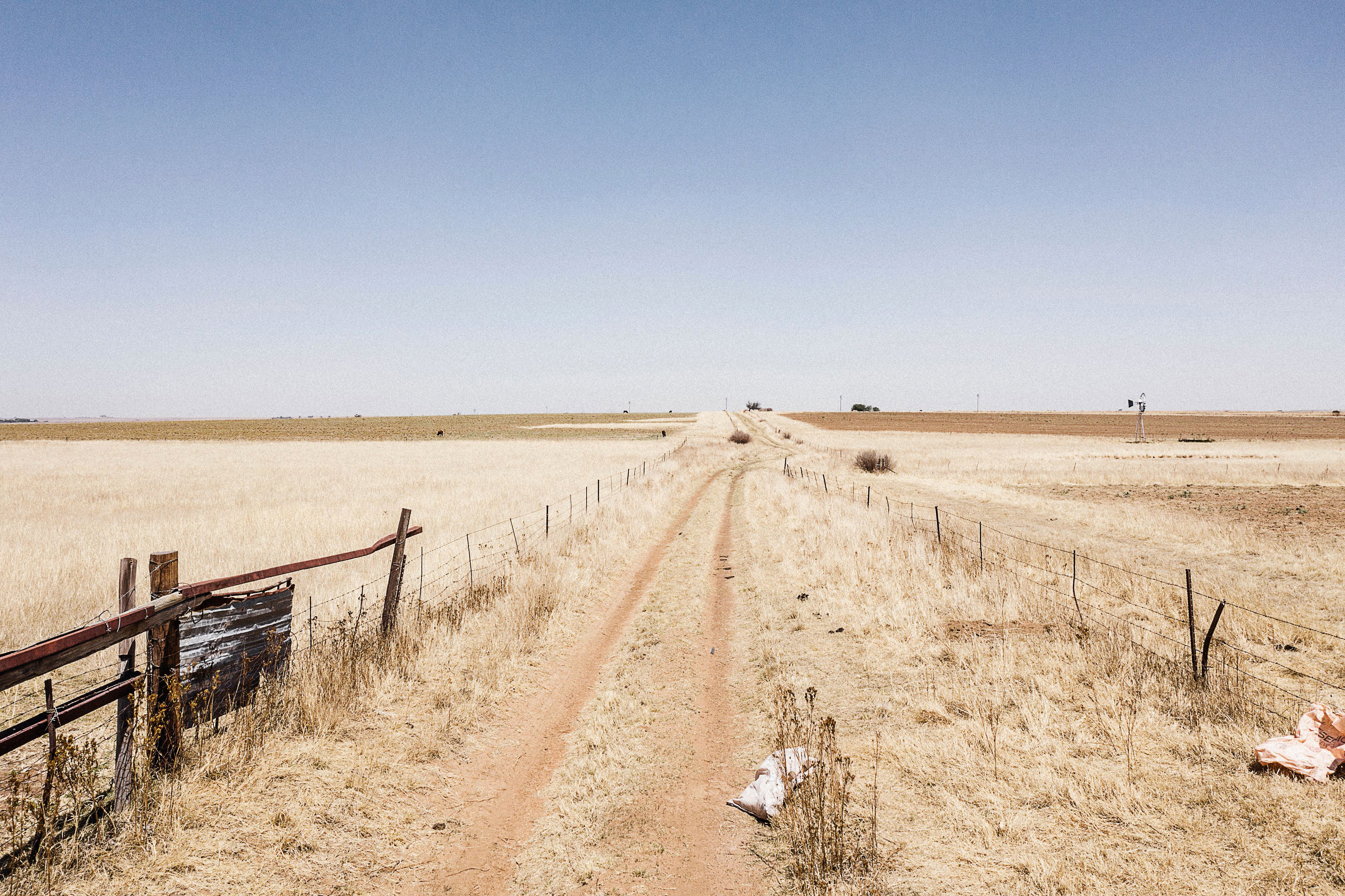 A color photo looking down a dirt road lined by wire fencing and surrounded by dry fields.