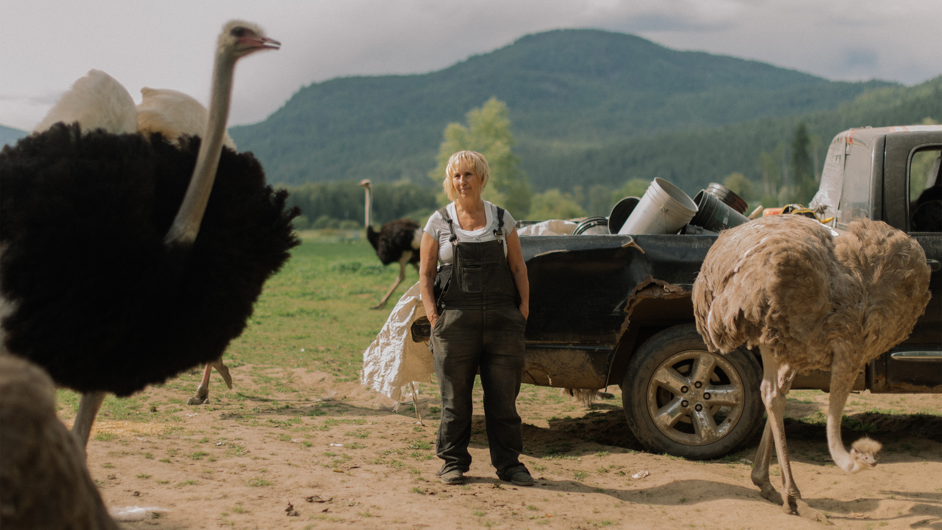 Karen Espersen with ostriches at her farm