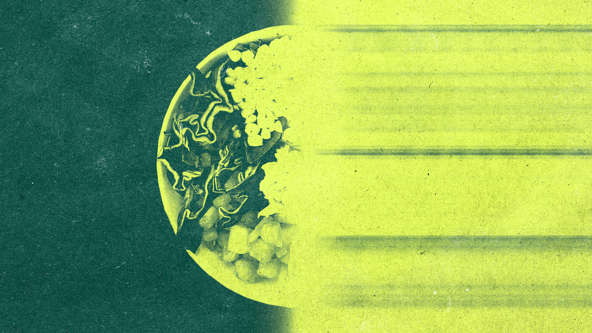 A green image of a salad that is half-blurred out