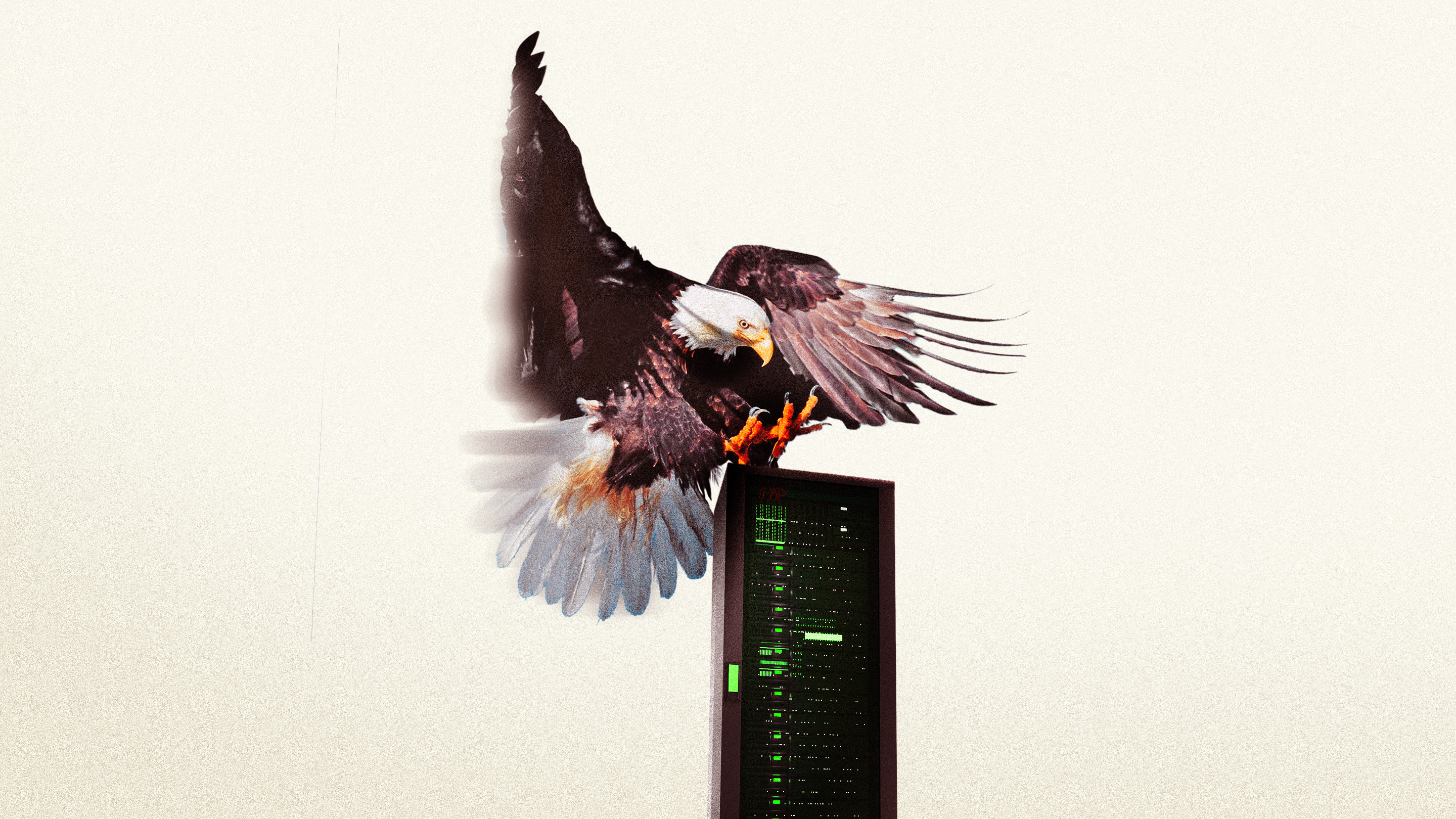 Eagle rushing into the server