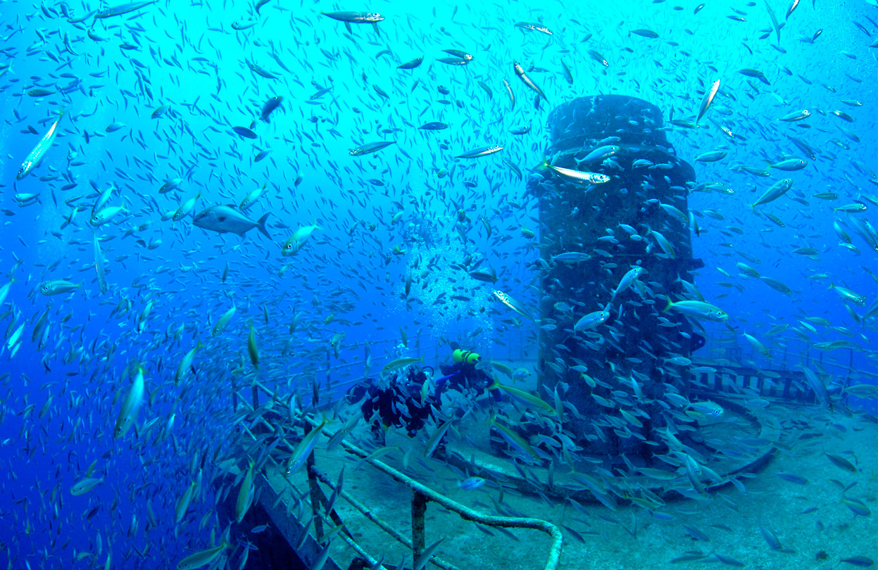 12 Outstanding Artificial Reefs to Visit