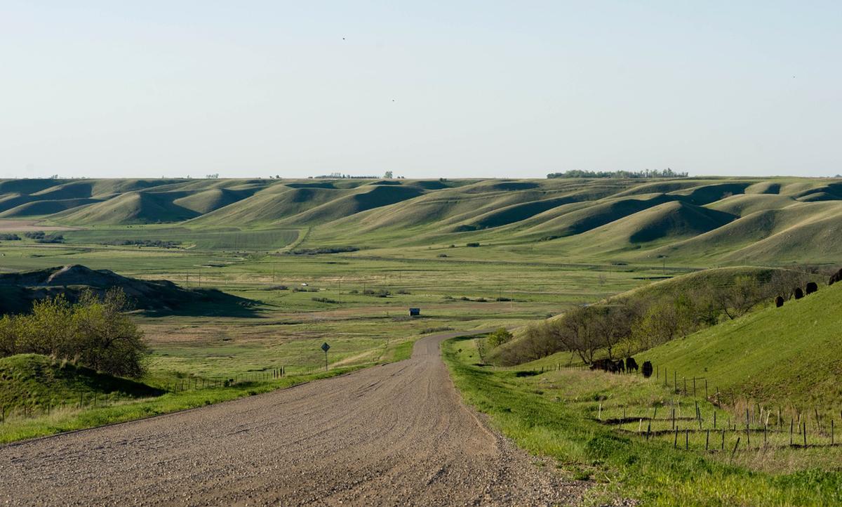 closeup photograph of a thin dainty young north dako