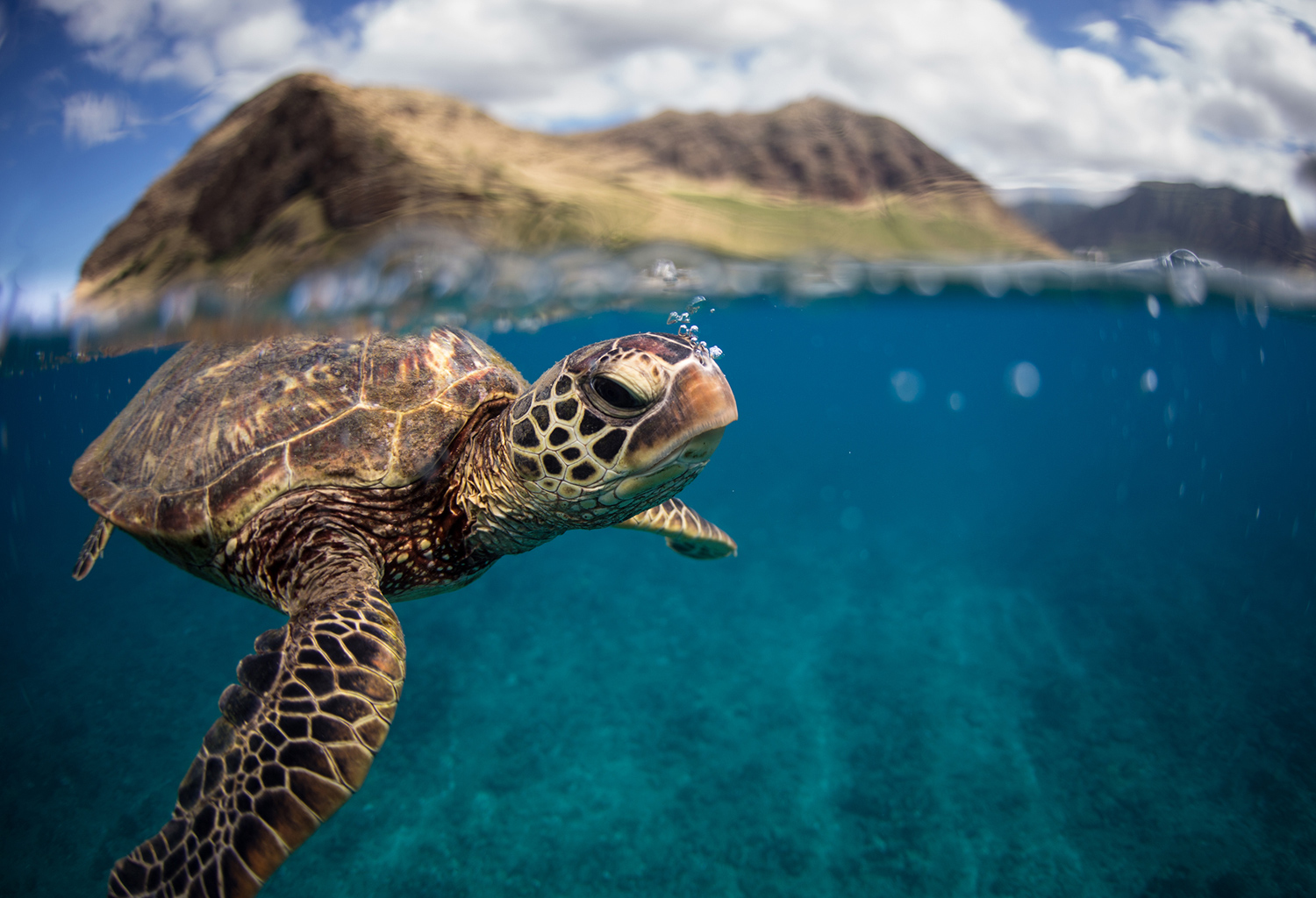 53 National Geographic Nature Photos to Inspire Happiness