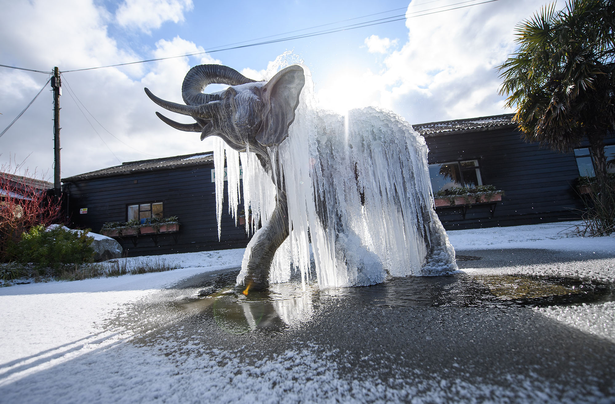 Photos The Beast From The East Freezes Europe The Atlantic