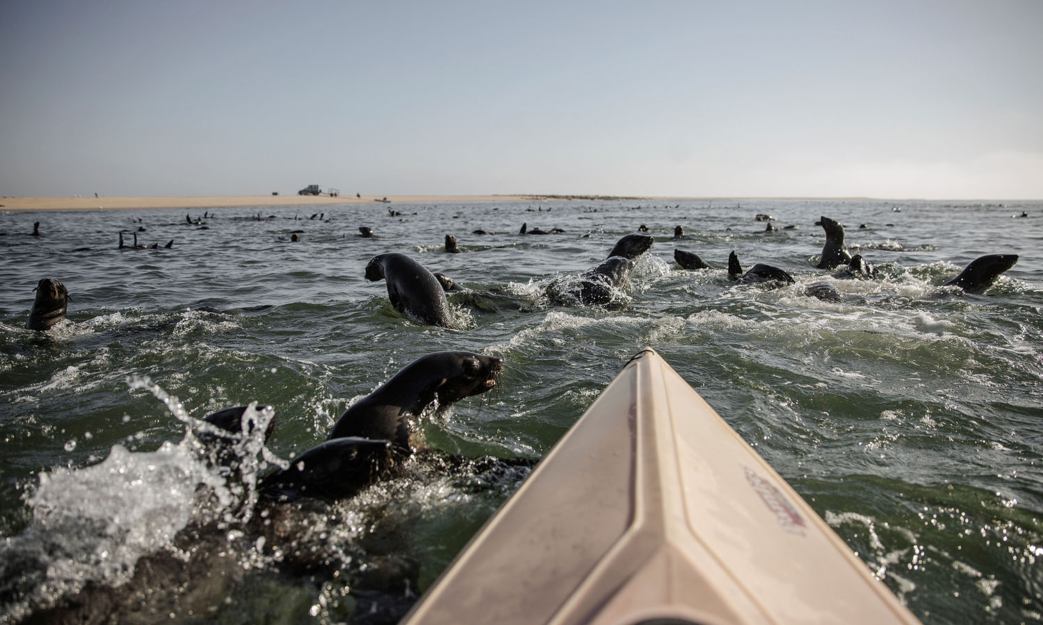 Photos Along The Namibian Coast The Atlantic