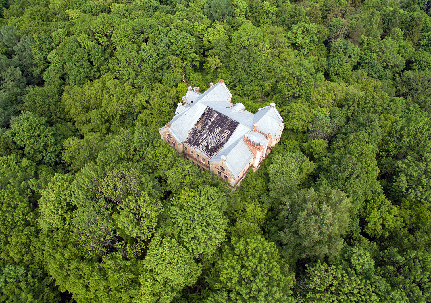 Russian forests and homes Forest House by Mike RazumovHi! I wanted to create an old ...