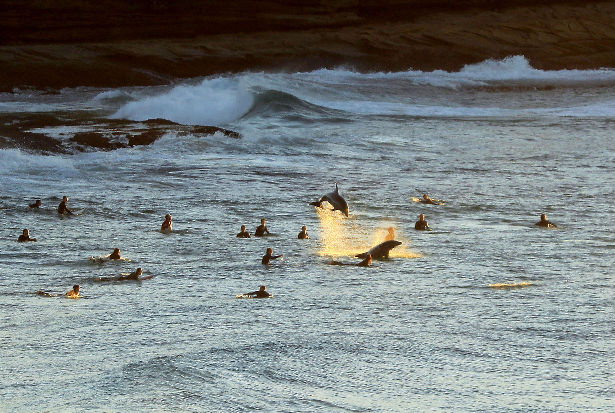 Sydney Surfing Photos The Atlantic