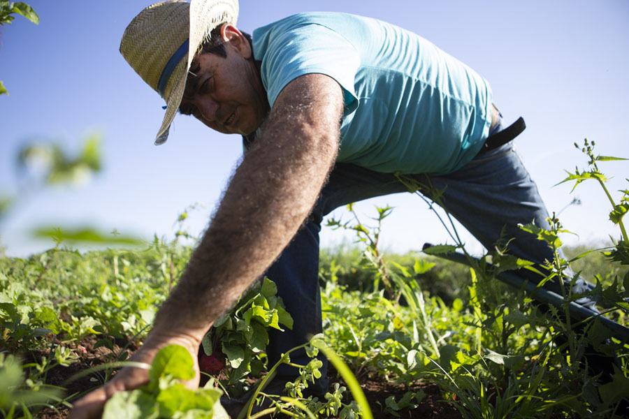 https://cdn.theatlantic.com/media/img/photo/2020/04/photos-essential-work-farmers-coron/f01_1216824338/main_900.jpg