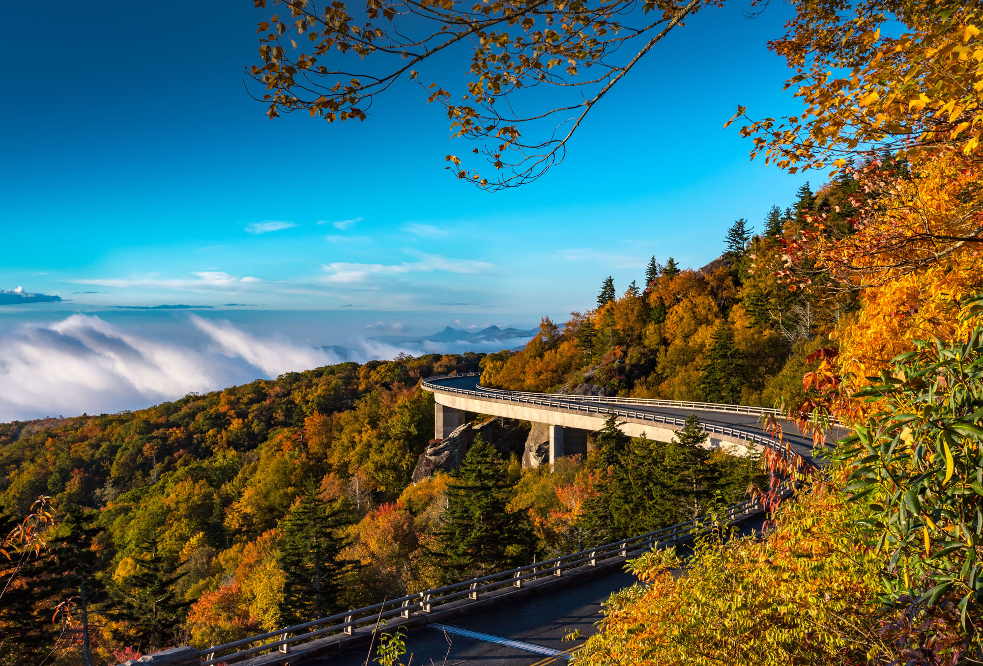 north carolina fall landscape