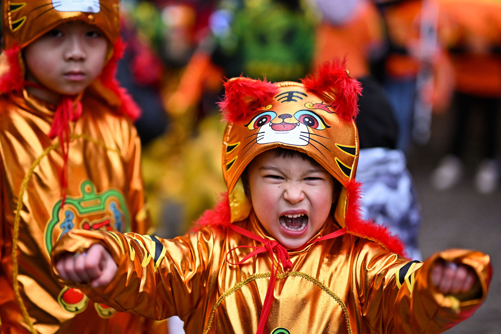 Lunar New Year: Year of the Tiger comes in with a whimper