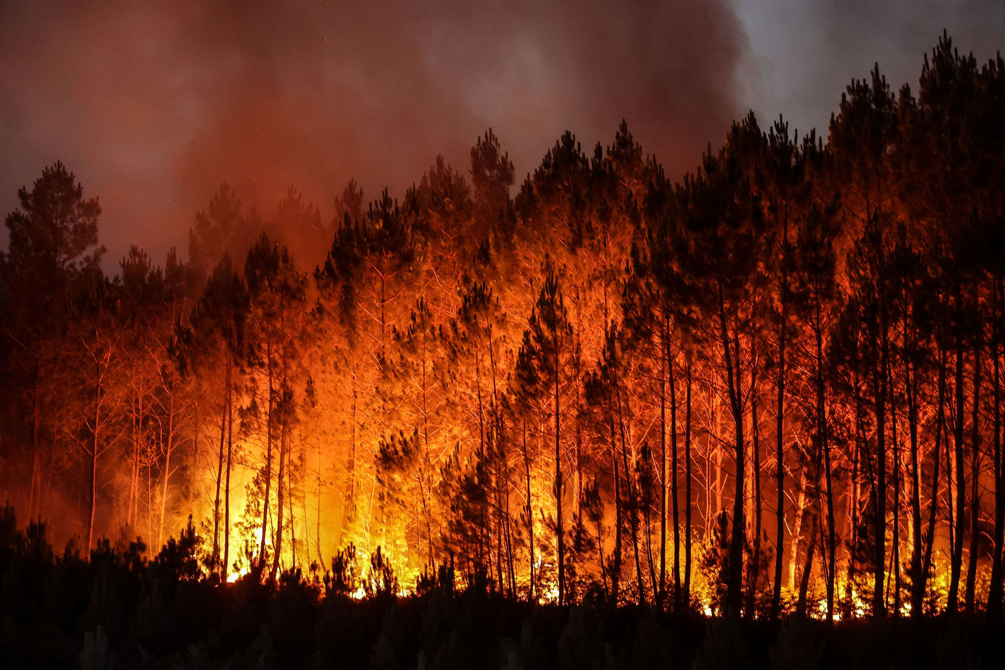 Wildfires raging in Europe: What, where and why?, Explainer News