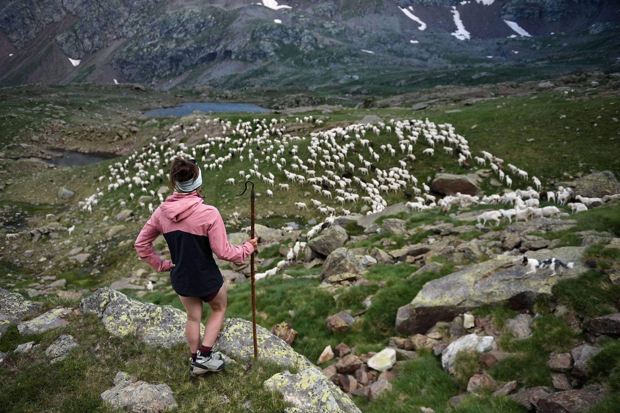 A New Generation of Shepherds in the French Pyrenees - The Atlantic
