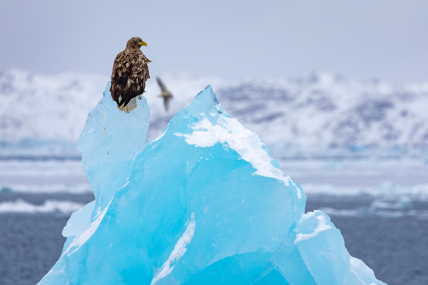 https://cdn.theatlantic.com/media/img/photo/2025/03/scenes-greenland/a04_G-2203209079/main_1500.jpg