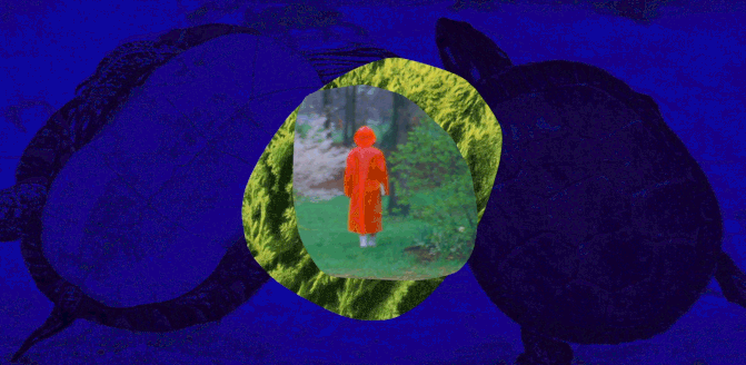 Women in red riancoat looking at nature on a moving blue textured background