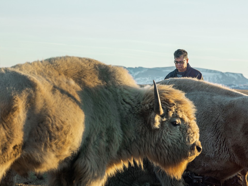 photo of Pat Schildt and bison