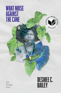 Cover of What Noise Against the Cane