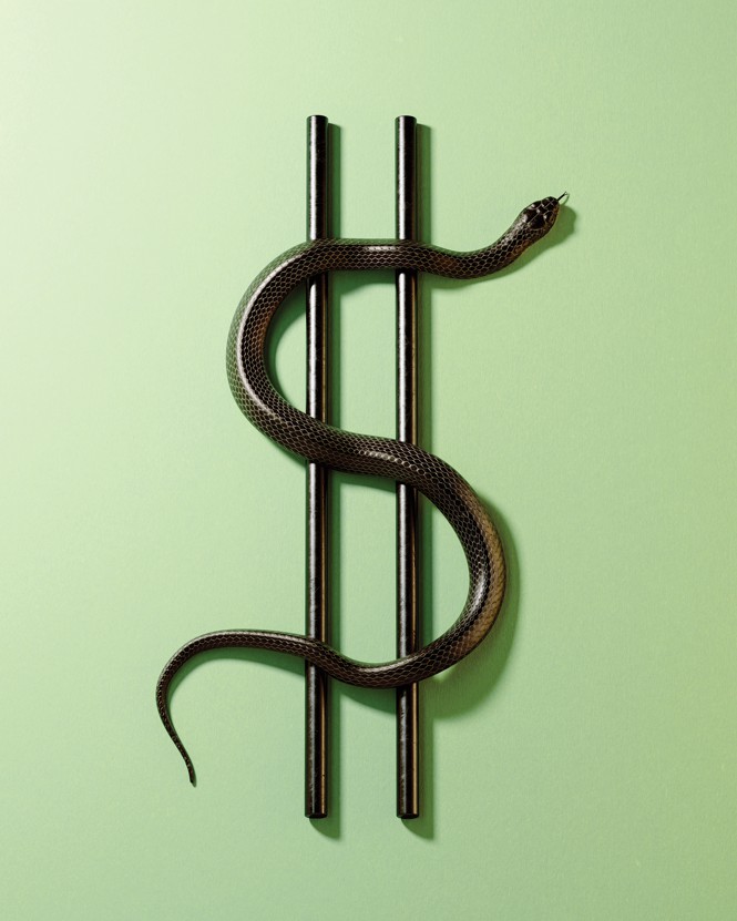 two black rods with a black snake in an S-shape form a dollar sign on a pale green background