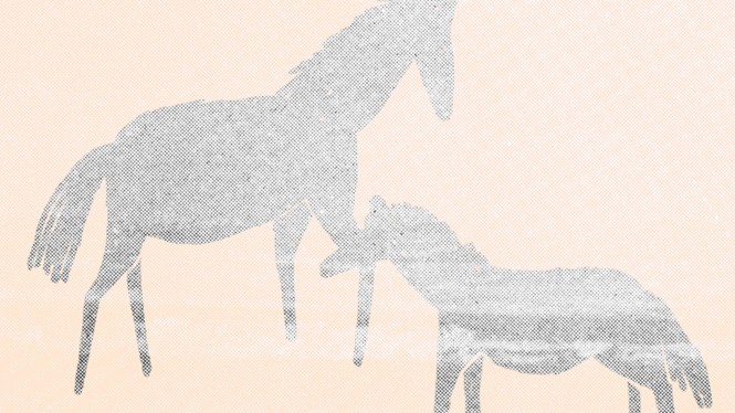 drawing of horse and foal shrouded in mist on orange-yellow background