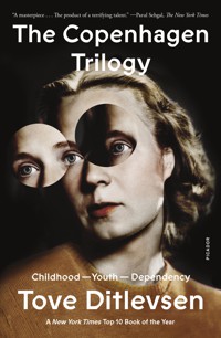 The cover of The Copenhagen Trilogy