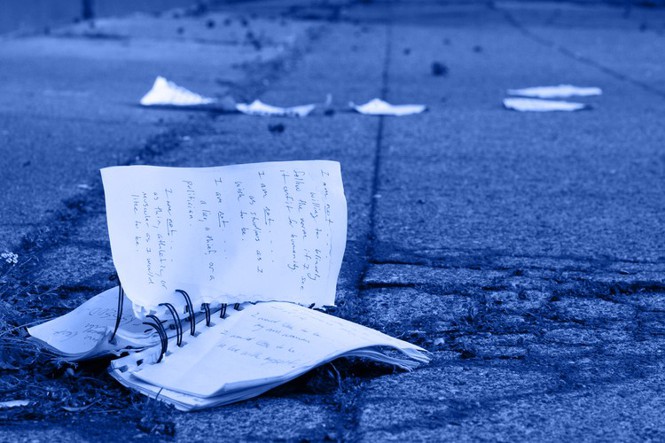 A diary lying ripped up on the ground