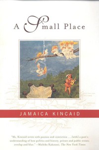 The cover of A Small Place