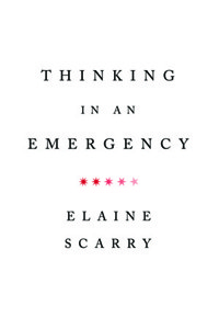 The cover of Thinking in an Emergency
