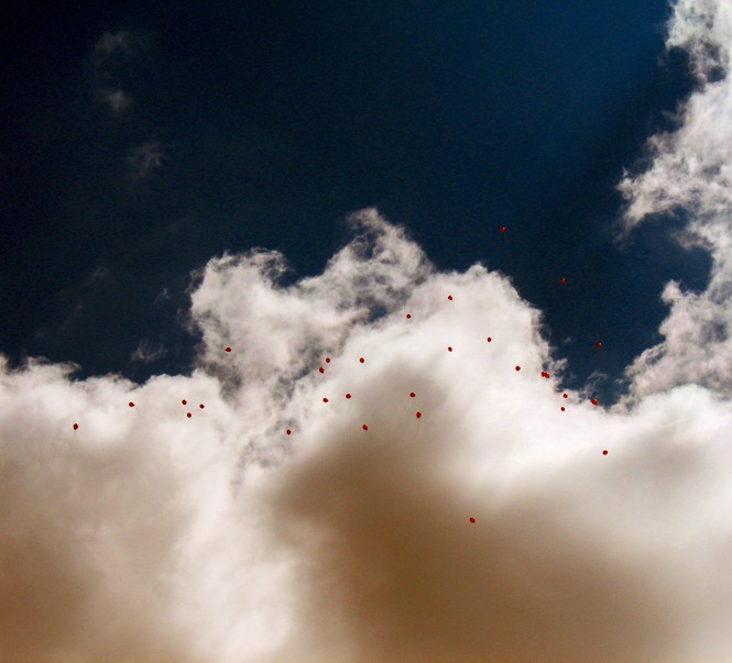 Red balloons in a blue sky with clouds