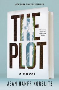 The cover of The Plot