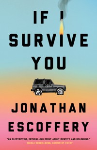 The cover of If I Survive You