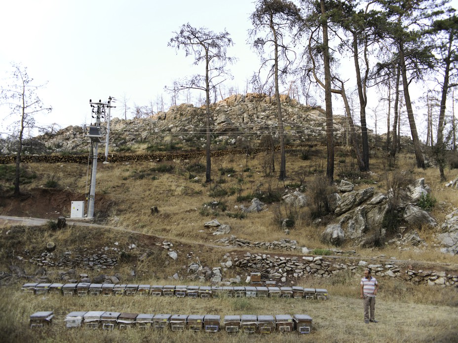 a man stands next to bee hive boxes