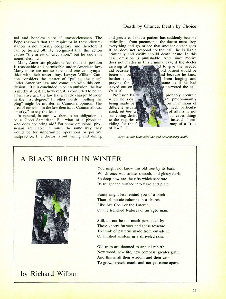 Den originale magasinside med to billeder af birkebark, med grønne pletter