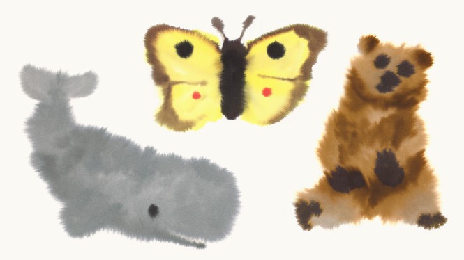 Fuzzy akvarelmalerier af en grå hval, en gul sommerfugl og en brun bjørn