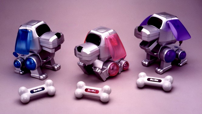 Ein Foto von drei Poo-Chi-Geräten und ihren kleinen Hundeknochen