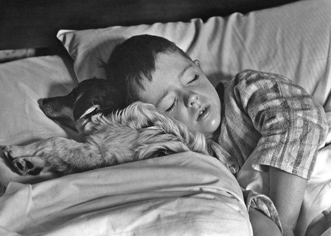 Et barn, der sover ved siden af ​​en hund