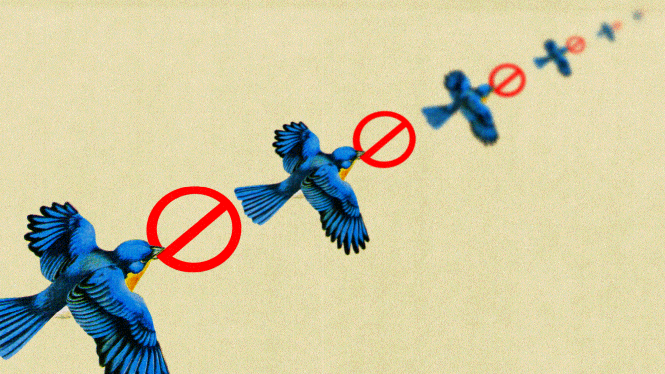 Ein Bild von blauen Vögeln, die wegfliegen, während sie einen roten Kreis mit einem Strich durch ihn halten, wie er auf "Rauchen verboten"-Schildern zu sehen ist