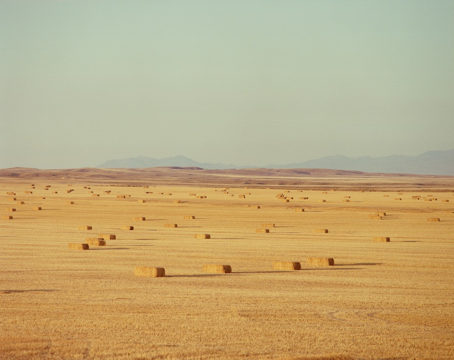 Color photo of vast open orange-yellow field dotted with bales of hay, with low mountains in hazy distance