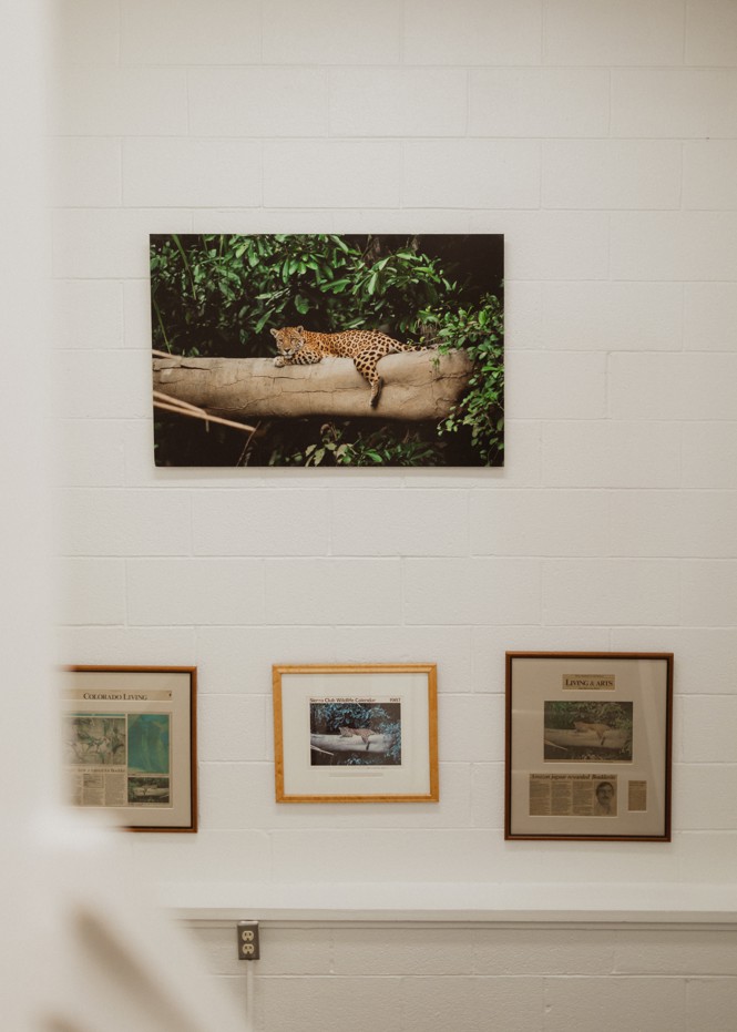 Picture of Warren Hern’s photography work, personal art collection, and various accolades at the office walls at at Boulder Abortion Clinic.